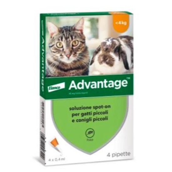 Picture of ADVANTAGE 1- 4KGS